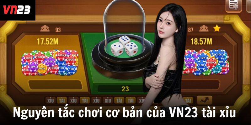 Nguyên tắc chơi cơ bản của VN23 tài xỉu